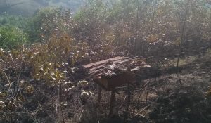 Mudaka : Plus de 40 ruches détruites par un feu de brousse à la lisière du PNKB
